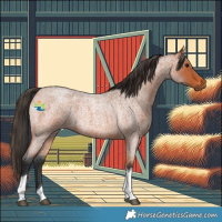 Horse Color:Bay Roan Tobiano 