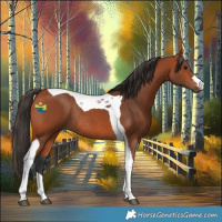 Horse Color:Bay Tobiano Rabicano 