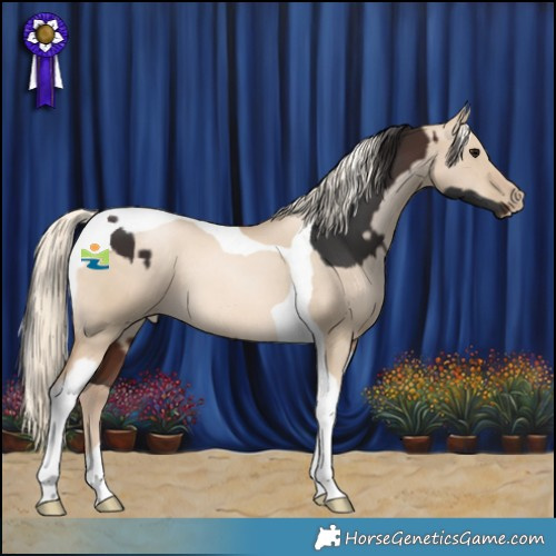 Horse Color:Brown Tobiano and Chocolate Palomino Pearl Dun Tobiano