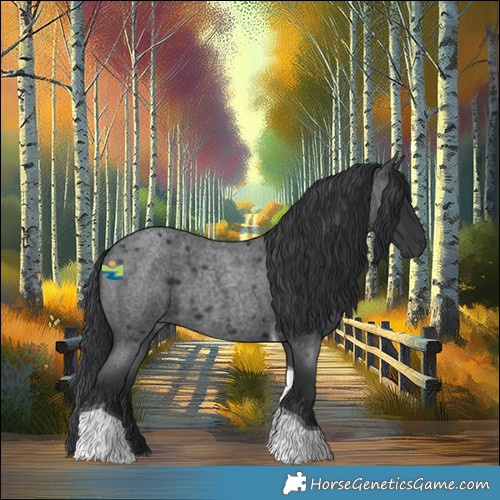 Horse Color:Blue Roan Tobiano