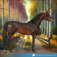 Horse Color:Bay 