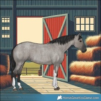 Horse Color:Grullo Roan Tobiano 
