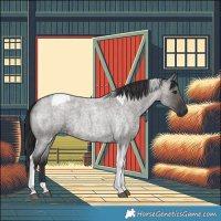 Horse Color:Grullo Roan Tobiano 