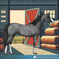 Horse Color:Blue Roan Splash 
