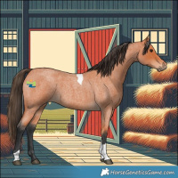 Horse Color:Bay Roan Tobiano