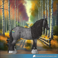 Horse Color:Smoky Blue Roan 