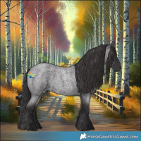 Horse Color:Smoky Blue Roan 