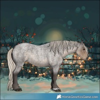 Horse Color:Silver Smoky Blue Roan