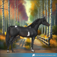 Horse Color:Brown Tobiano 