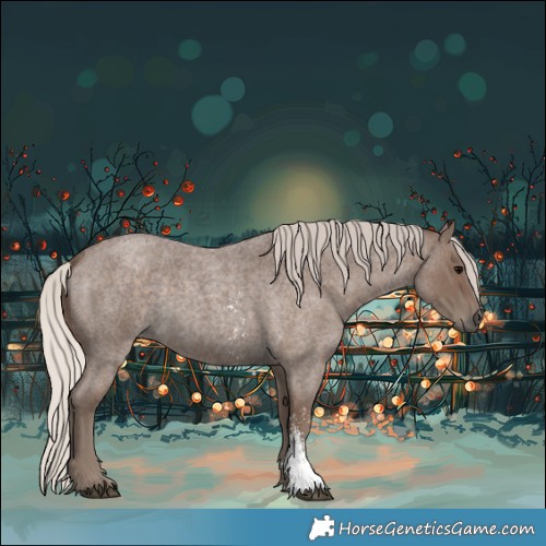 Horse Color:Silver Blue Roan Sabino