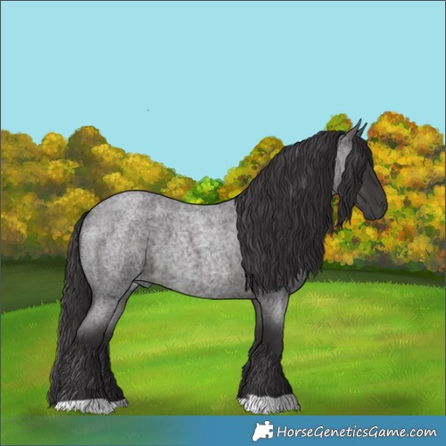 Horse Color:Smoky Blue Roan 