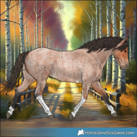 Horse Color:Bay Roan Tobiano 