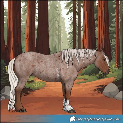 Horse Color:Silver Blue Roan Sabino