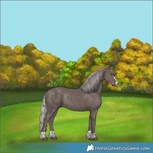 Horse Color:Silver Black Rabicano 