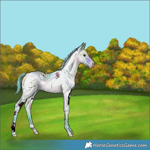 Horse Color:ERROR: UNKNOWN ANOMALY