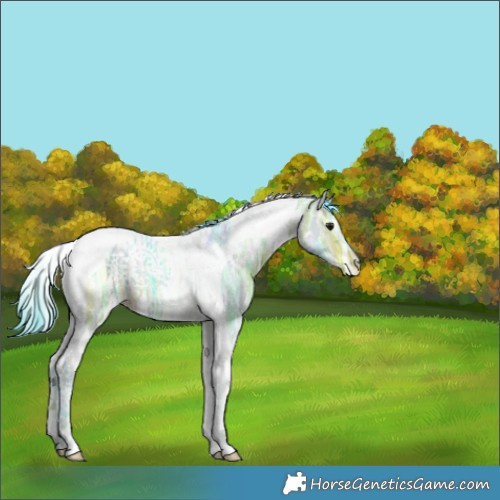 Horse Color:Watercolor White Spotted Bay Ice Tobiano