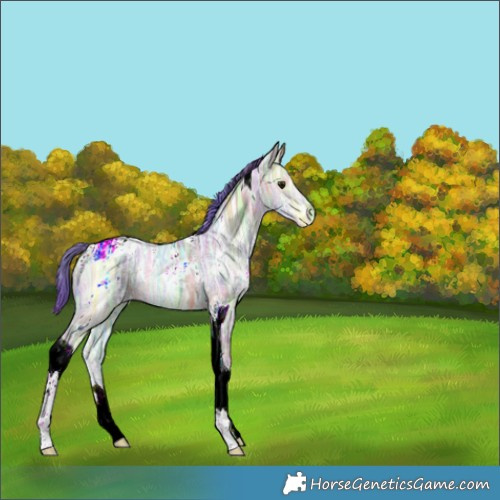 Horse Color:Nacre Watercolor White Spotted Brown Ice Dun Tobiano