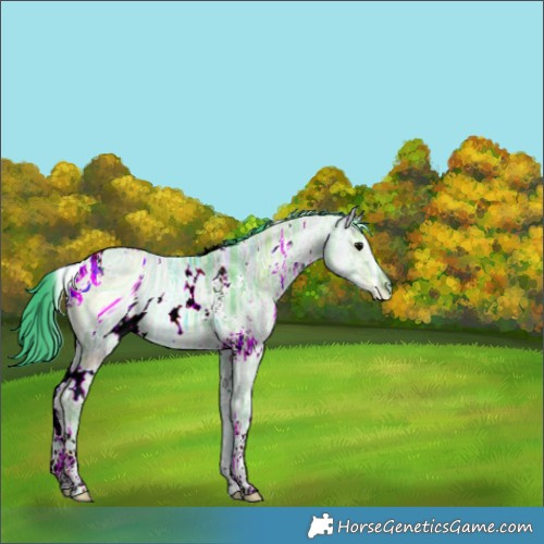 Horse Color:ERROR: UNKNOWN ANOMALY