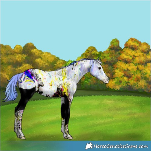 Horse Color:ERROR: UNKNOWN ANOMALY