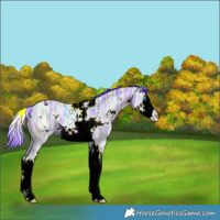 Horse Color:Watercolor White Spotted Brown Ice Splash 