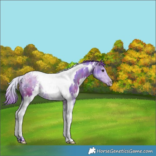 Horse Color:Nacre Watercolor White Spotted Black Ice Tobiano