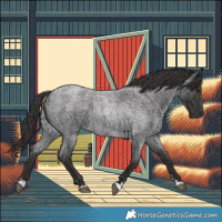 Horse Color:Smoky Blue Roan