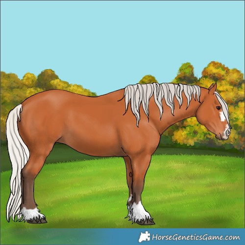 Horse Color:Unknown 