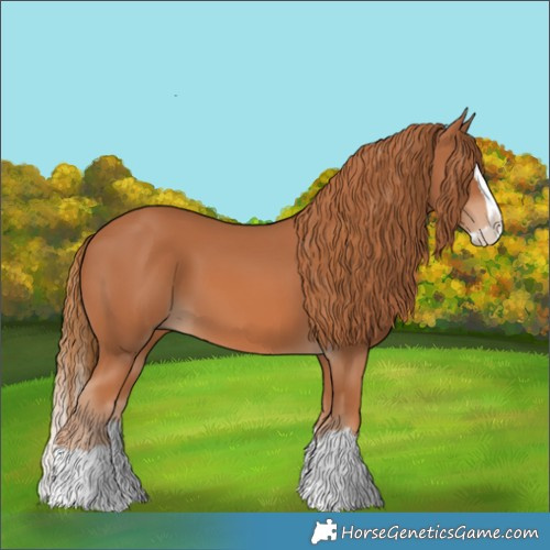 Horse Color:Chestnut Splash 