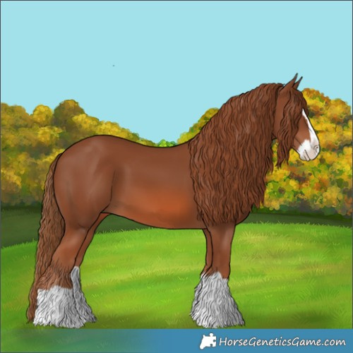 Horse Color:Chestnut Splash