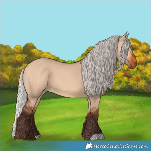 Horse Color:Silver Bay Dun 