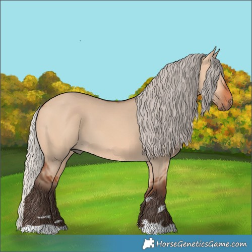 Horse Color:Silver Bay Dun 