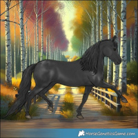 Horse Color:Black 
