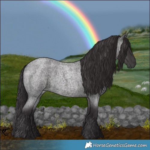 Horse Color:Smoky Blue Roan 