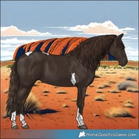 Horse Color:Liver Chestnut Tobiano