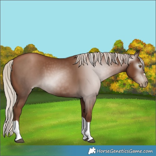Horse Color:Gray Silver Black Pearl Tobiano 