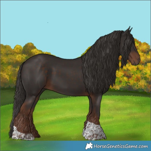 Horse Color:Liver Chestnut Tobiano 
