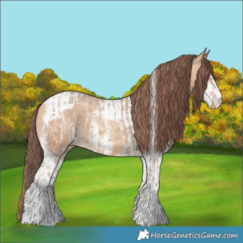 Horse Color:Amber Champagne Sabino Tobiano Appaloosa and Amber Champagne Sabino Tobiano Appaloosa