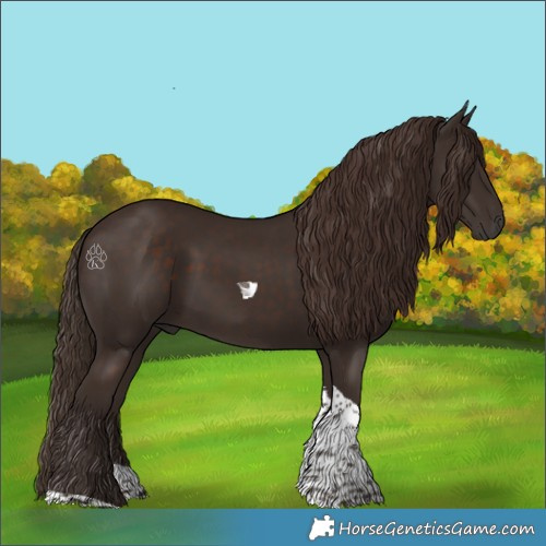 Horse Color:Liver Chestnut Tobiano 