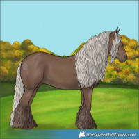 Horse Color:Silver Black 