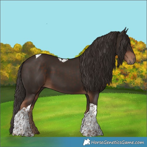 Horse Color:Liver Chestnut Tobiano 