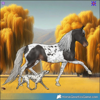 Horse Color:Liver Chestnut Mushroom Tobiano 