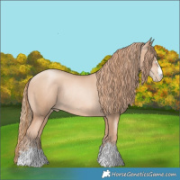 Horse Color:Gold Champagne Pearl Rabicano and Gold Champagne Pearl Rabicano