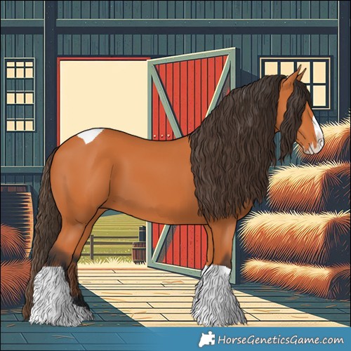 Horse Color:Bay Splash Tobiano 