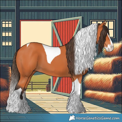 Horse Color:Bay Splash Tobiano 
