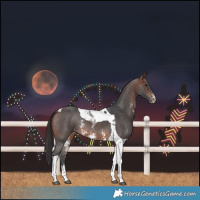 Horse Color:Brown Sabino Tobiano 