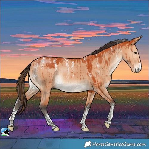Horse Color:Powder White Bay Dun Rabicano Brindle 