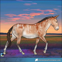Horse Color:Powder White Bay Dun Rabicano Brindle