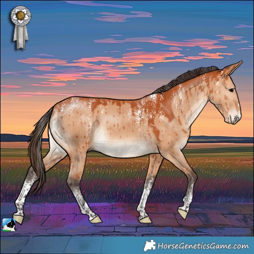 Horse Color:Powder White Bay Dun Brindle 