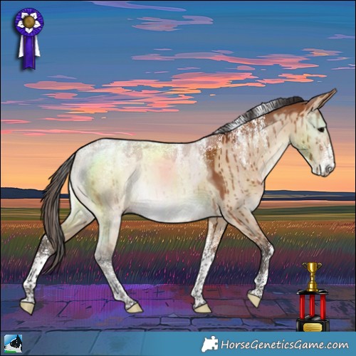 Horse Color:Powder White Bay Dun Brindle 