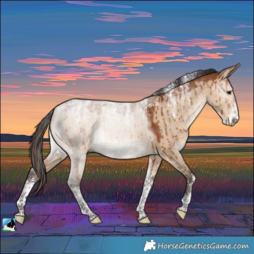 Horse Color:Powder White Bay Dun Brindle 